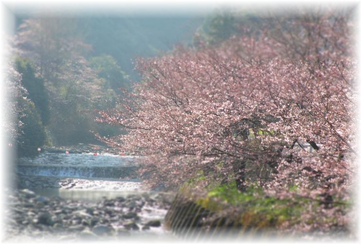 サヨナラとこんにちは・・・♪_d0175974_20102649.jpg