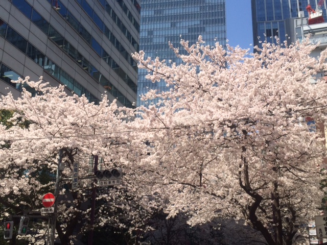 a0300078_1714456.jpg