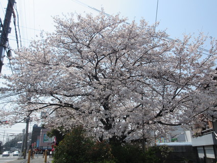 f0053885_19594757.jpg