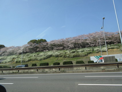 f0053885_2011868.jpg