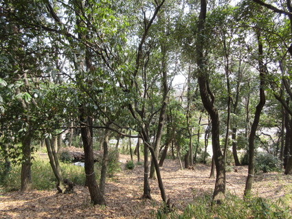 f0053885_202852.jpg