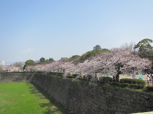 桜三昧の大阪観光ポタ_a0251786_22443850.jpg