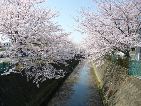 f0330592_20120573.jpg