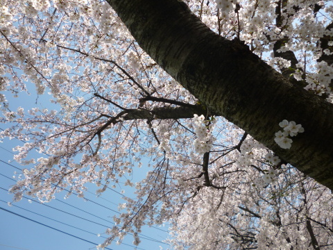 f0330592_20123252.jpg