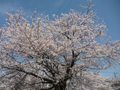 f0330592_20125478.jpg