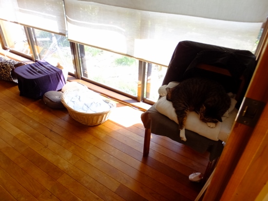 明日から4月 春ですね春ですね_c0115596_23222757.jpg
