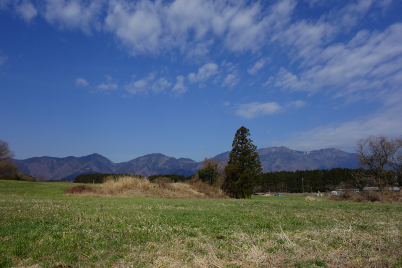 d0081997_23130490.jpg