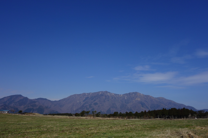 d0081997_23160520.jpg