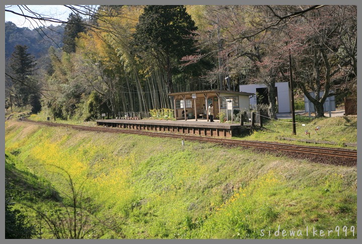 小湊鉄道_c0129300_6513677.jpg