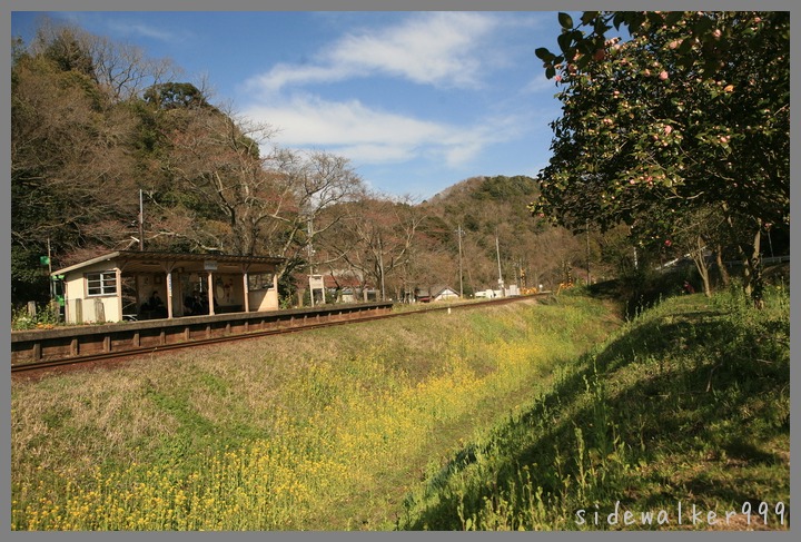 小湊鉄道_c0129300_6523576.jpg