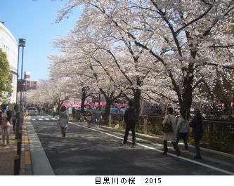 年々歳々　花相似たり　2015_b0044404_22341822.jpg