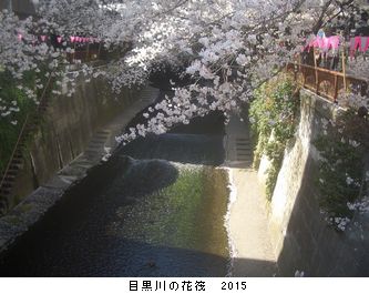年々歳々　花相似たり　2015_b0044404_22363650.jpg