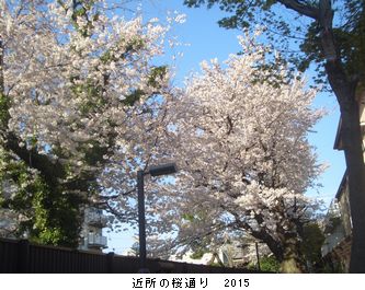 年々歳々　花相似たり　2015_b0044404_223924100.jpg