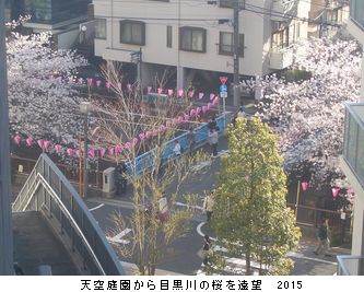 年々歳々　花相似たり　2015_b0044404_2239334.jpg