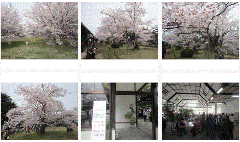 f0231709_22211719.gif