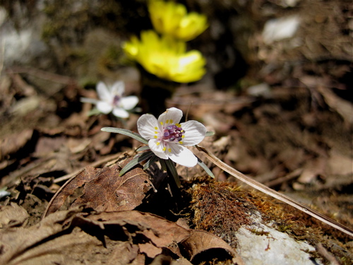a0164011_005251.jpg