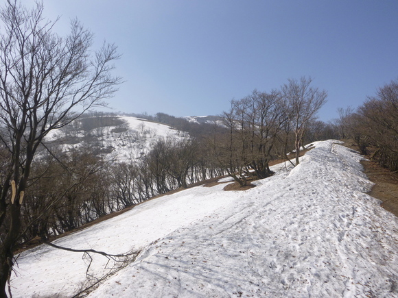 三重県の名峰　鈴北岳　　登頂 編_d0170615_20343782.jpg