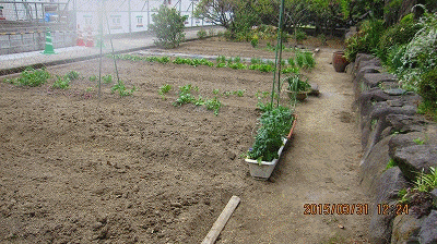 c0353919_71223.gif