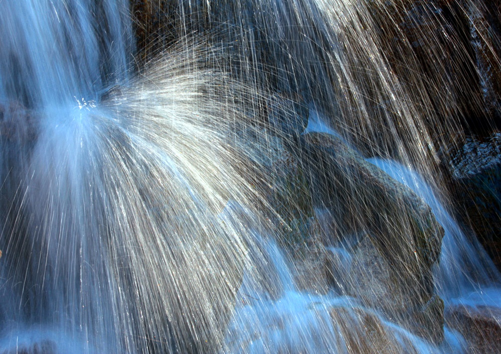 f0310221_21331442.jpg