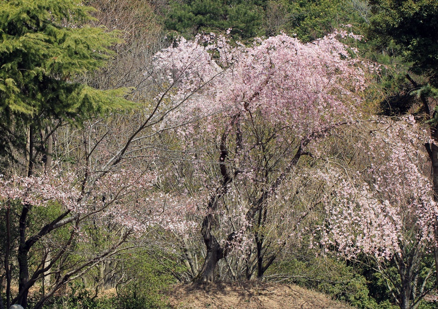 f0310221_21345616.jpg