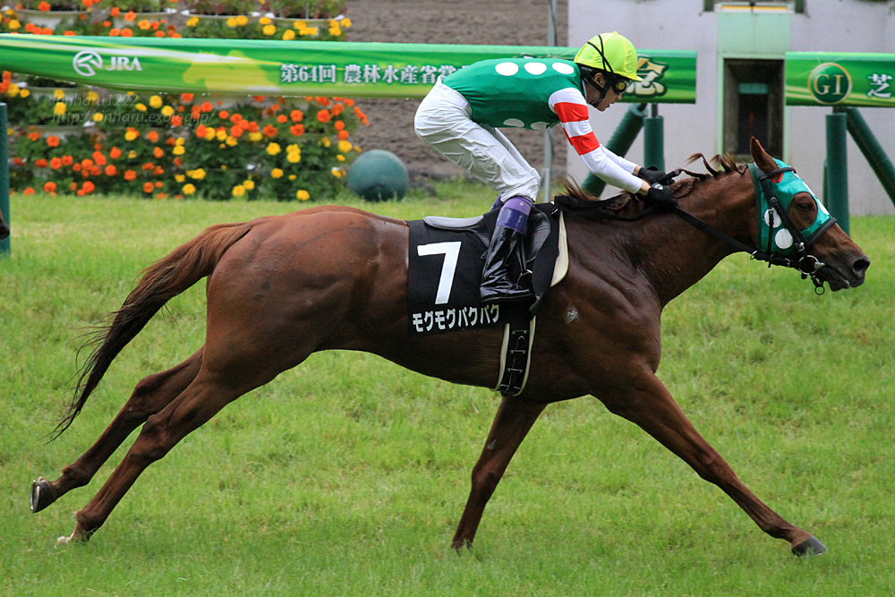 2014.6.8 東京競馬場☆モグモグパクパク【Thoroughbred】_f0250322_2016456.jpg