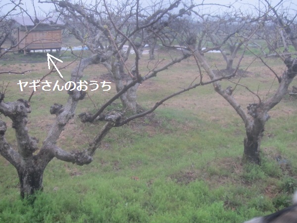 f0143123_2073364.jpg
