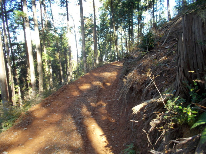 f0111128_09310190.jpg