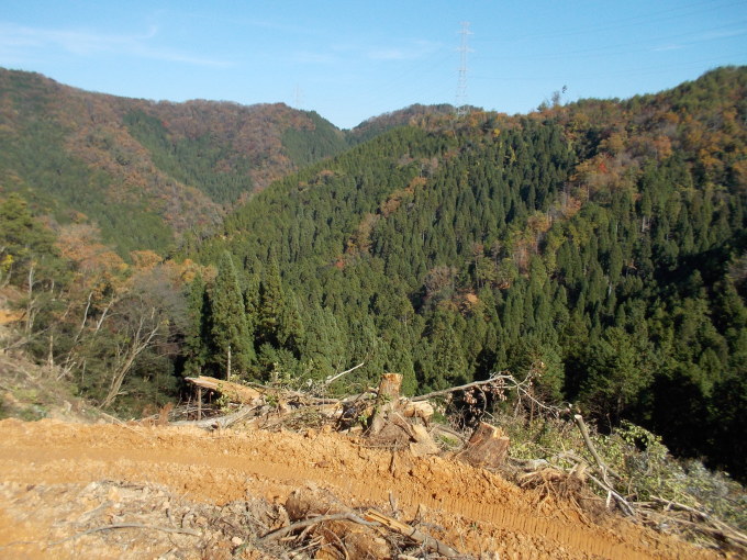 f0111128_09314150.jpg
