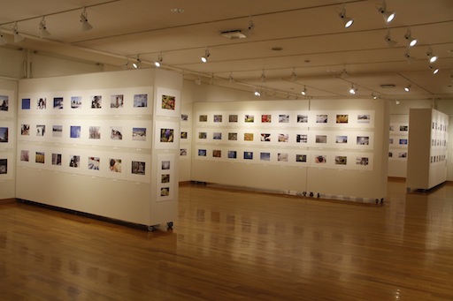 東川町文化ギャラリー写真展情報_b0187229_1259388.jpg