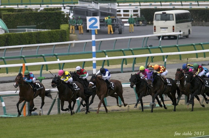 0401 ペガサスJを圧勝、レッドキングダム_c0240132_5581543.jpg