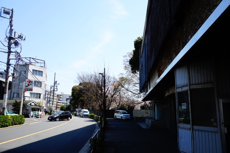 革ジャン売って肉を食おう！ その4～駒場公園のつづき_a0287336_13231467.jpg