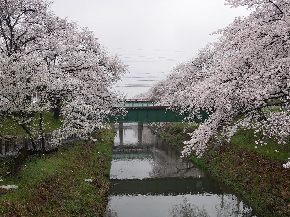 a0054040_21544032.jpg