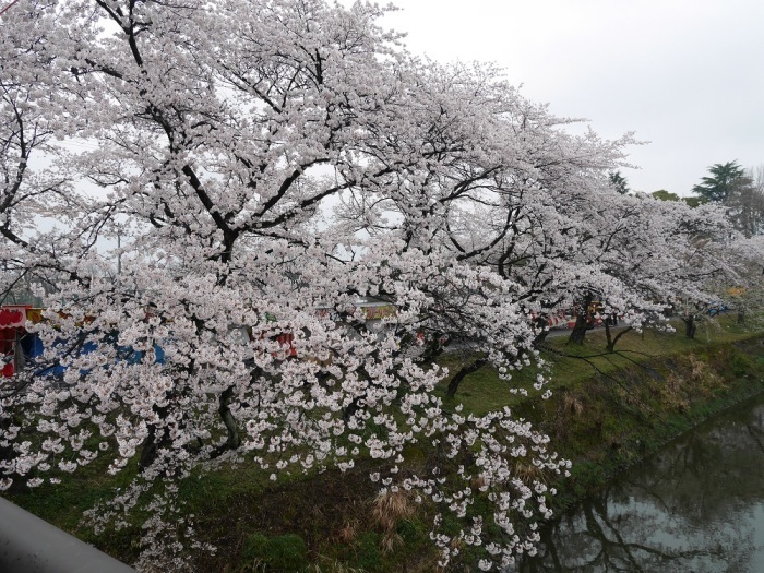 a0054040_21545091.jpg