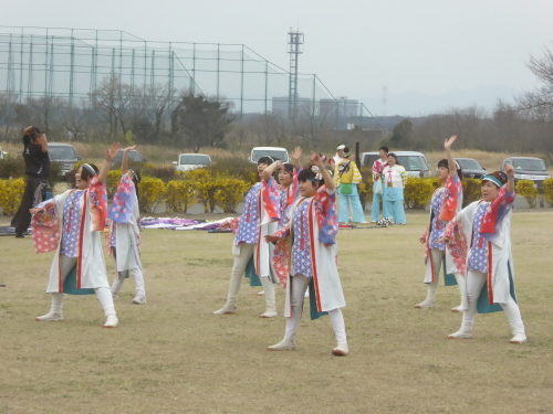 踊ってきました、くまがや桜よさこい！_a0014141_23141007.jpg