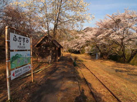 b0199742_19135411.jpg