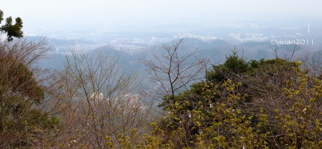 e0227942_23372088.jpg