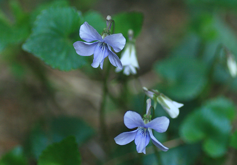 d0322448_20522324.jpg