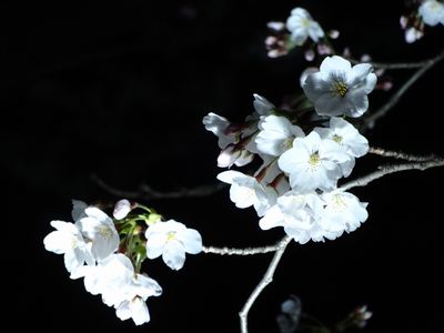 f0191248_9133869.jpg