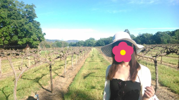 カルフォルニアワインの産地＠Napa Valley_c0355451_04051276.png