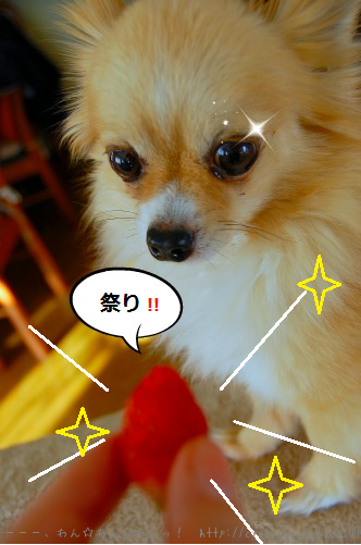 b0112758_21495831.png