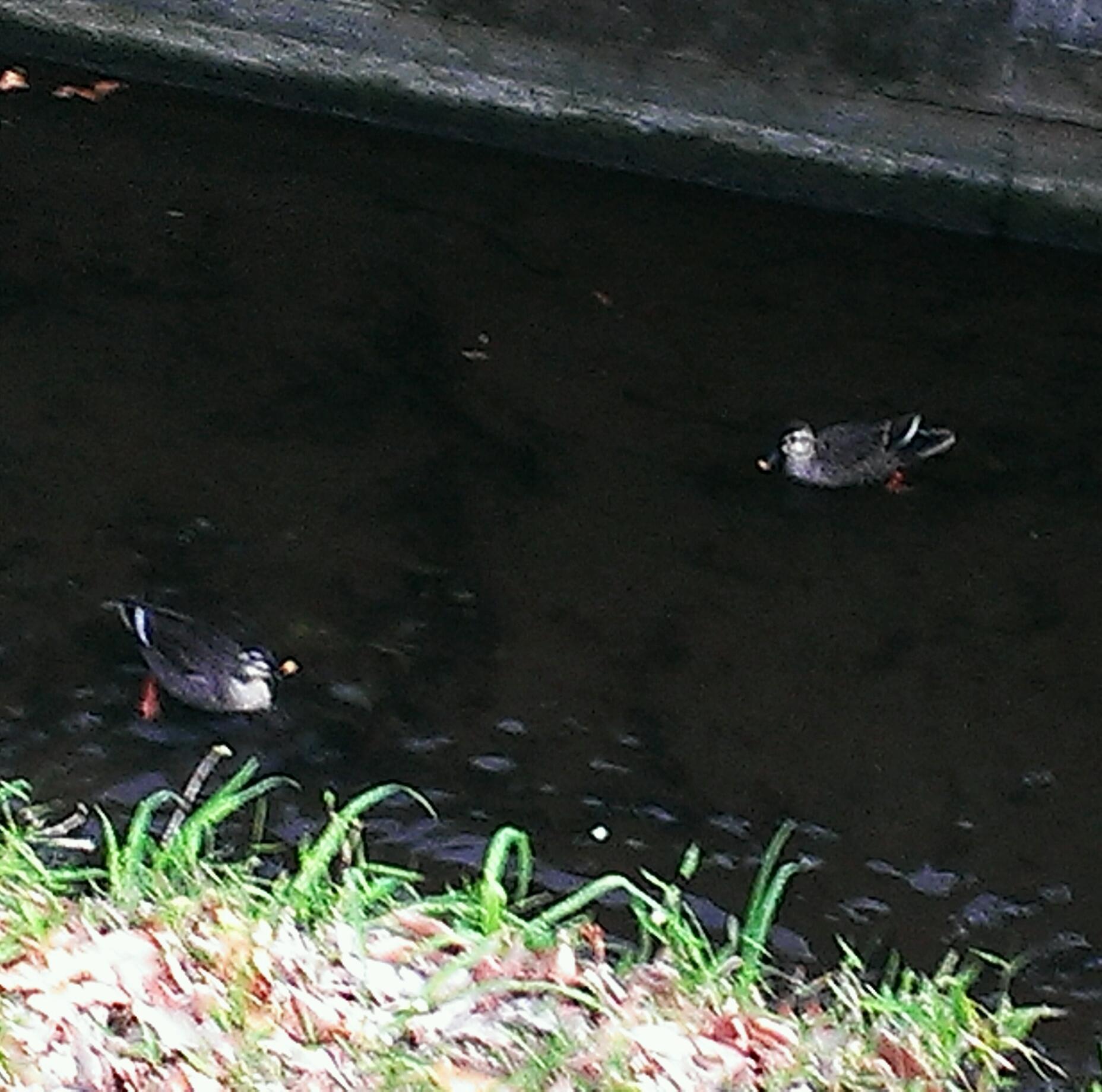 d0074259_01042612.jpg