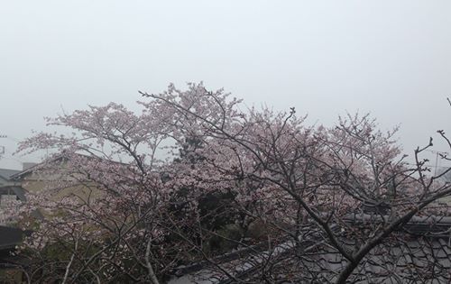 c0115560_10261638.jpg