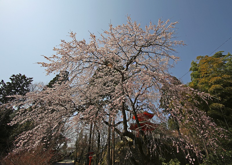 a0105680_0152721.jpg