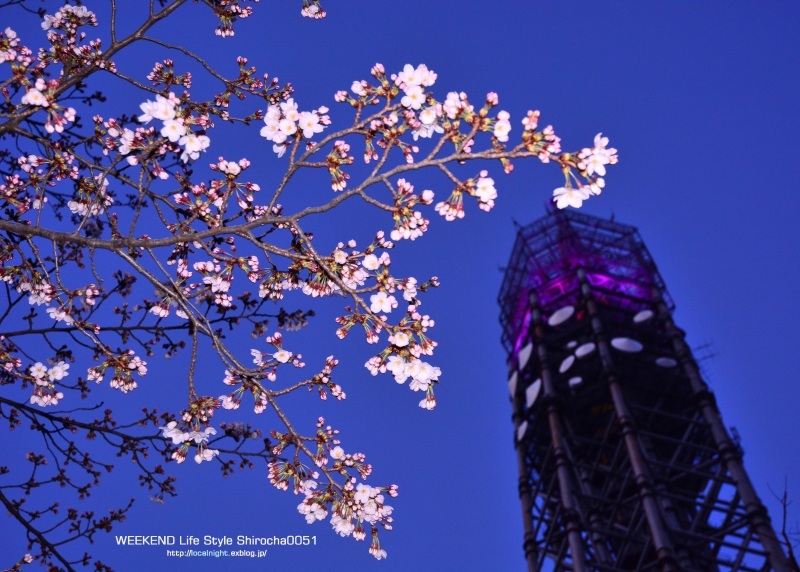 2015桜Ver.　田無タワー_f0345580_21443245.jpg