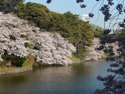 a0185783_11385167.jpg