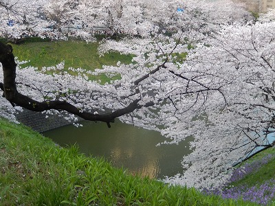 a0185783_11425616.jpg