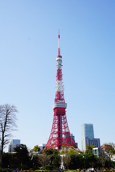 やっぱり東京タワーが好き！　桜満開編_e0156083_9171459.jpg