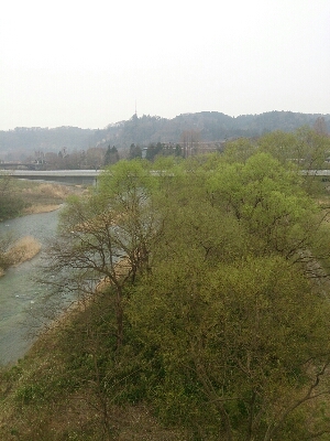 a0129586_11385996.jpg