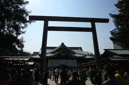 靖国神社で満開の桜を満喫♪_e0194987_15522184.jpg