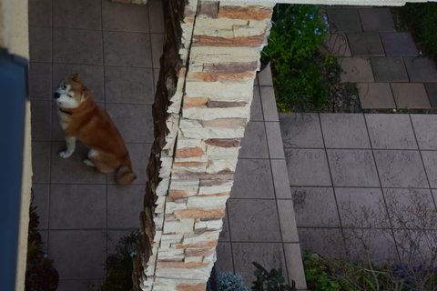 b0230589_0141587.jpg